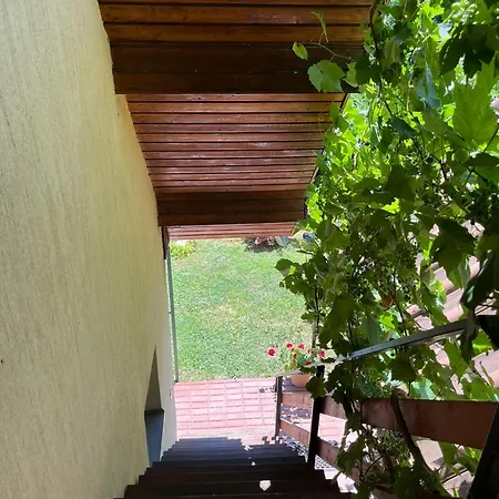 Ametiszt Wellness Apartmanhaz * Siofok